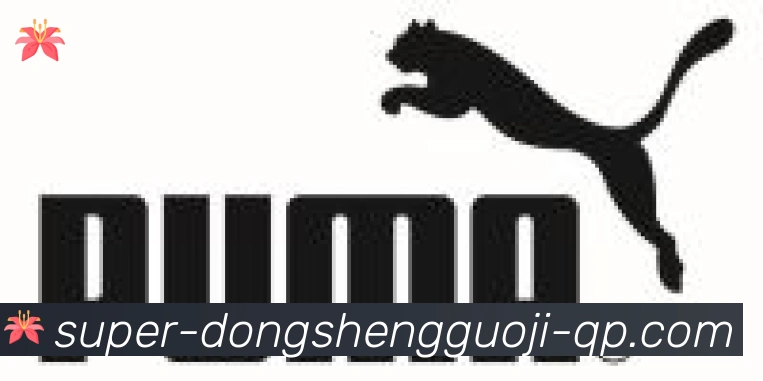 东升国际棋牌合作伙伴
